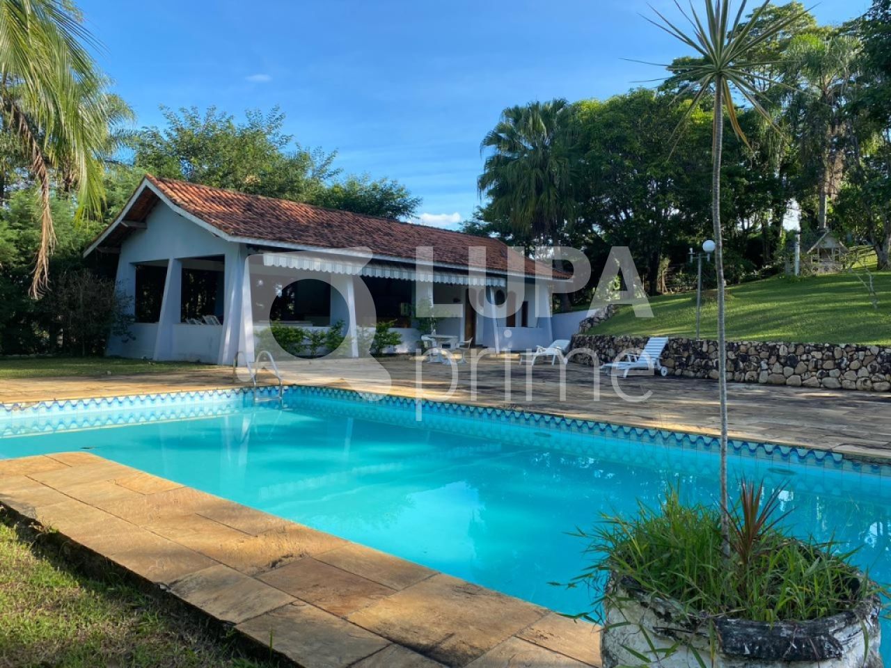 Casa, 4 quartos, 800 m² - Foto 1