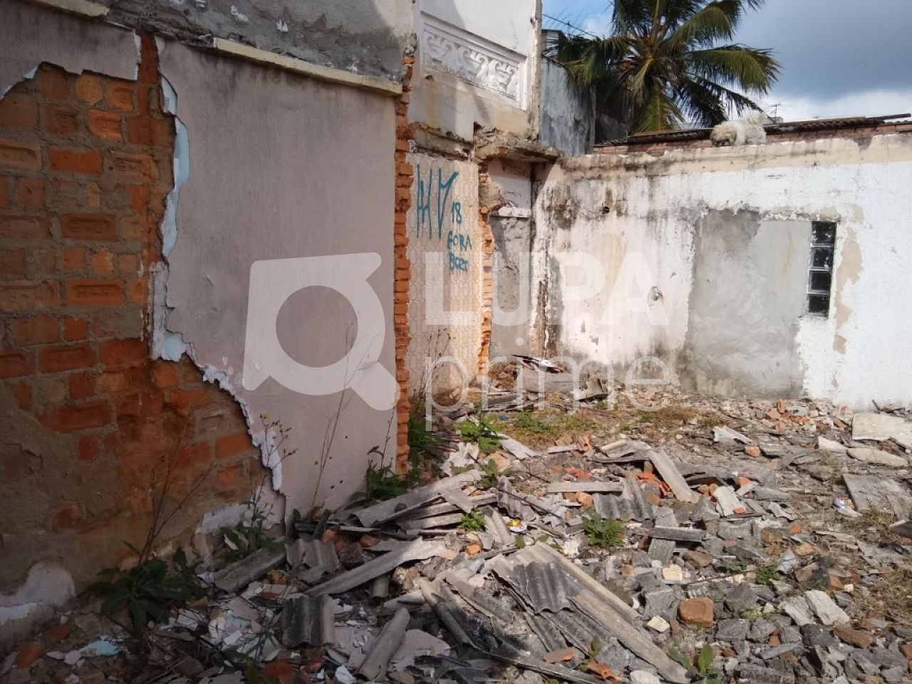 terreno-venda-sao-paulo-vila-nova-mazzei-LS30593