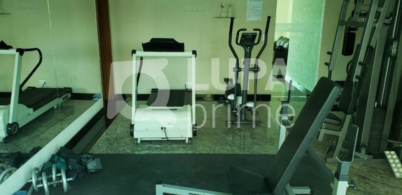 apartamento-venda-sao-paulo-vila-pauliceia-3dormitorios-1suite-5vagas-125m2-LS30621