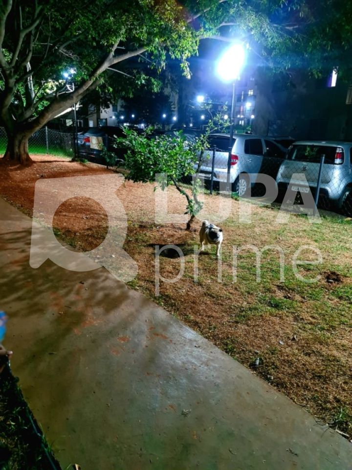 apartamento-venda-sao-paulo-vila-parque-jabaquara-2dormitorios-1vaga-57m2-LS31030