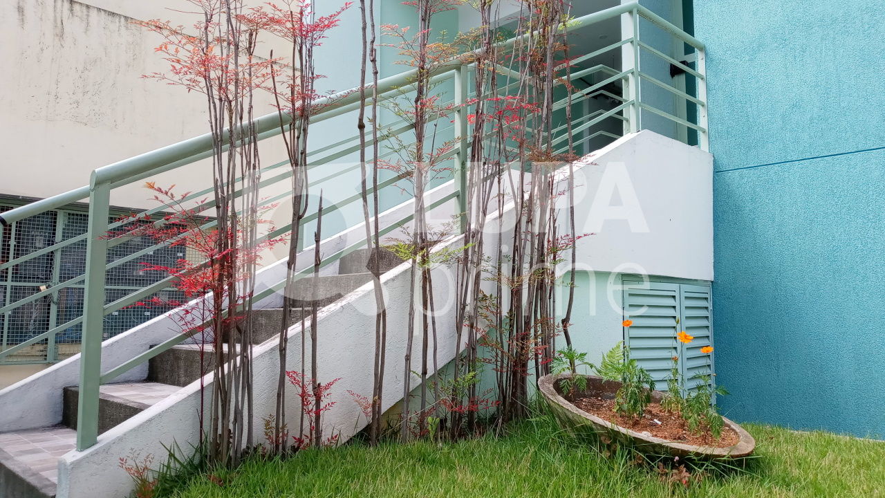 apartamento-venda-sao-paulo-agua-fria-cond-belgica-1dormitorio-1suite-1vaga-54m2-LS31048