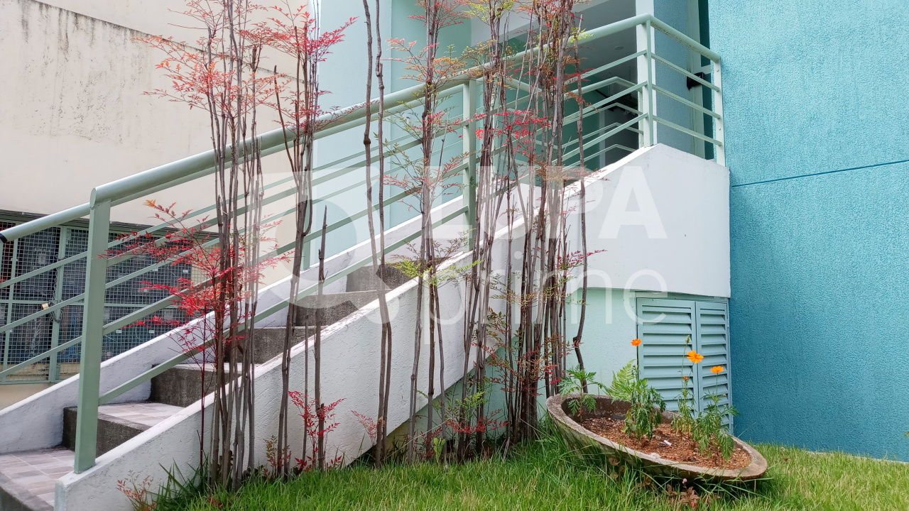 apartamento-venda-sao-paulo-agua-fria-cond-belgica-1dormitorio-1suite-1vaga-54m2-LS31049