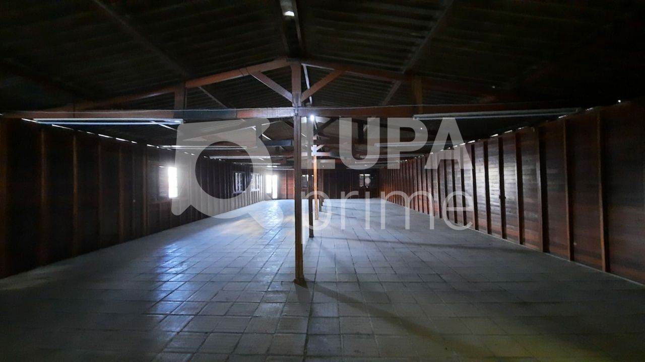 Loja-Salão, 300 m² - Foto 5