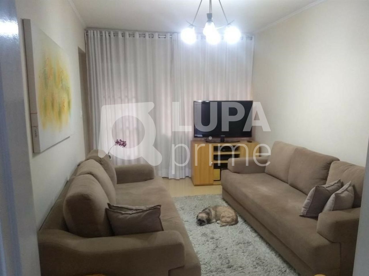 sobrado-venda-sao-paulo-vila-amelia-7dormitorios-4vagas-218m2-LS31524