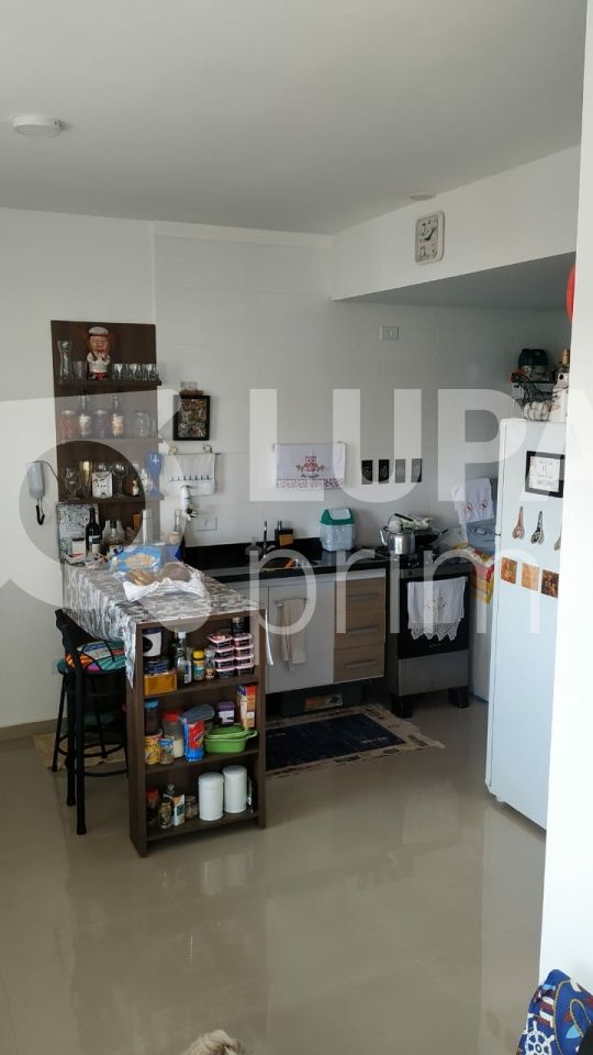 apartamento-venda-sao-paulo-vila-marieta-1dormitorio-1suite-52m2-LS31548