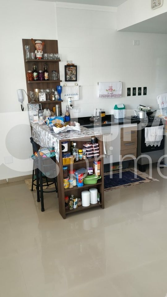 apartamento-venda-sao-paulo-vila-marieta-1dormitorio-1suite-52m2-LS31548