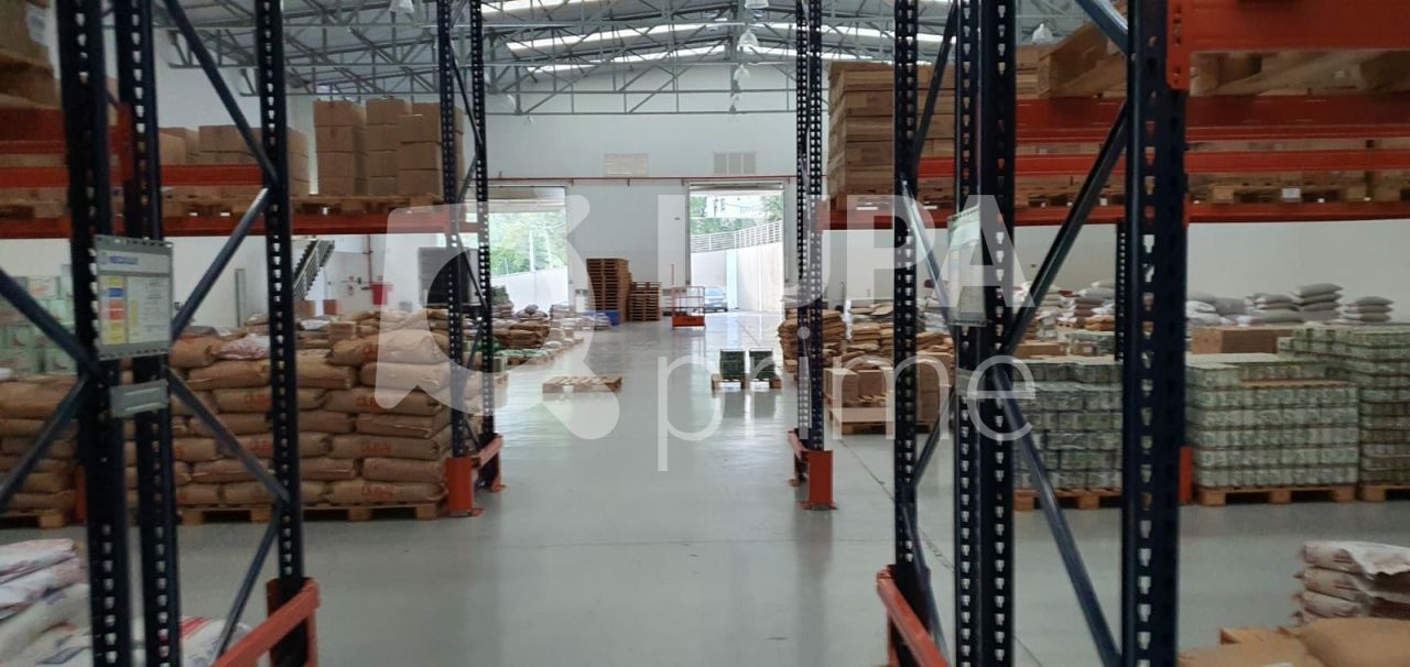Depósito-Galpão, 2000 m² - Foto 7
