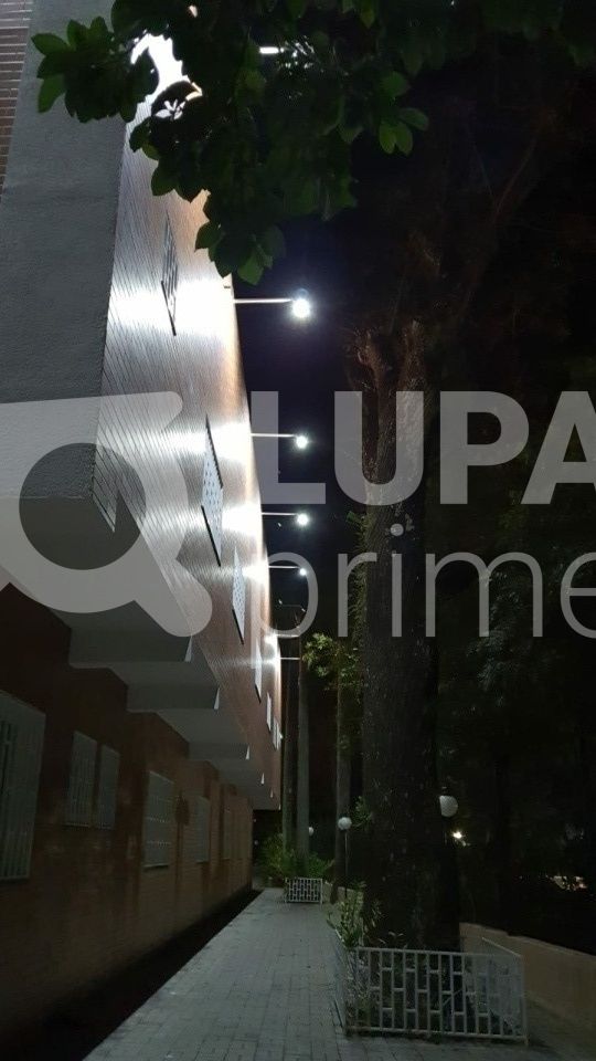 Depósito-Galpão, 2000 m² - Foto 6