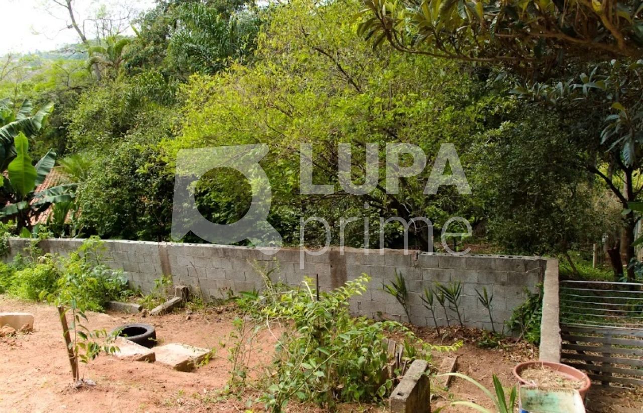 Casa, 4 quartos, 250 m² - Foto 22