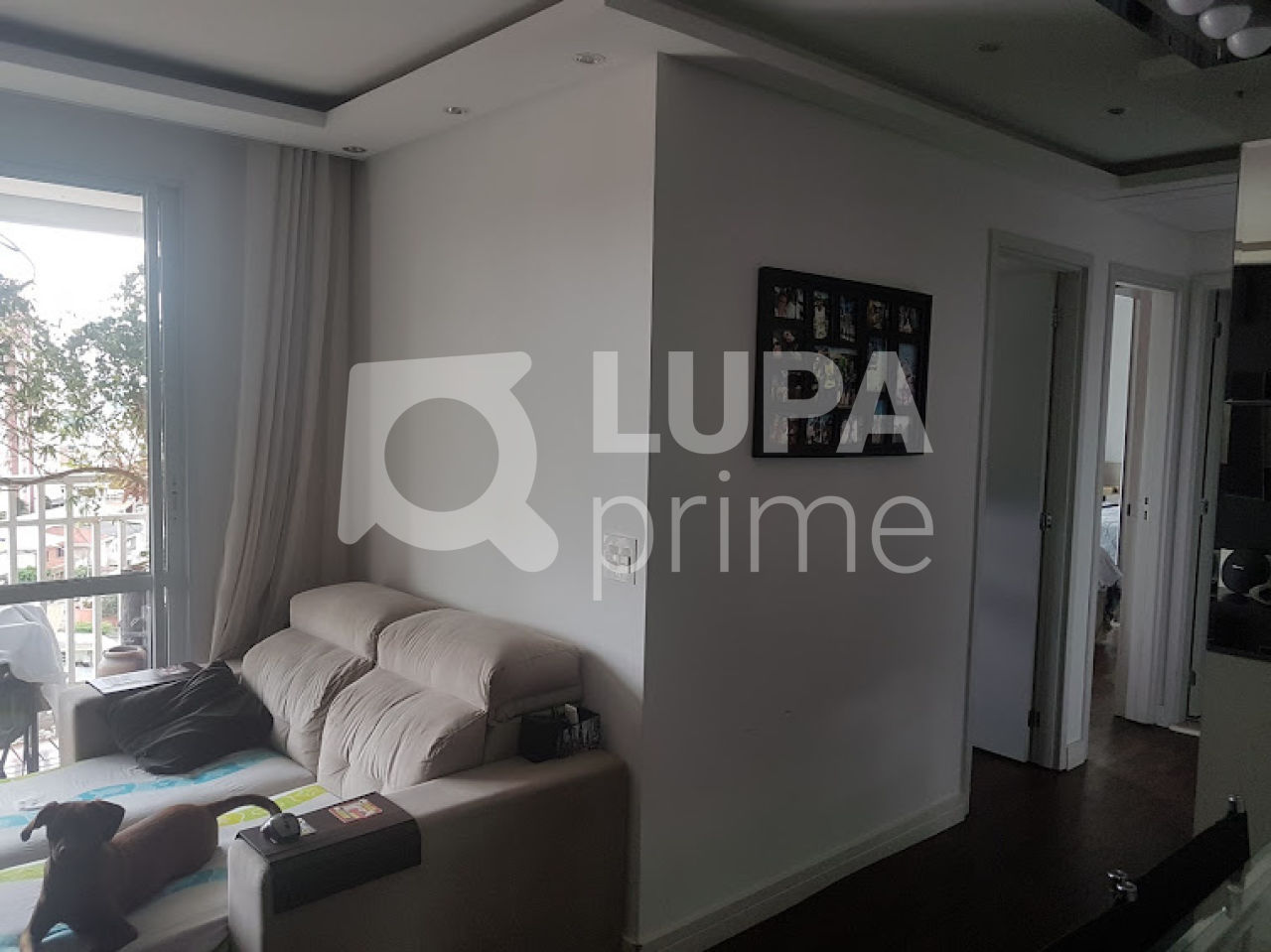 apartamento-venda-sao-paulo-vila-gustavo-2dormitorios-1suite-1vaga-62m2-LS31696