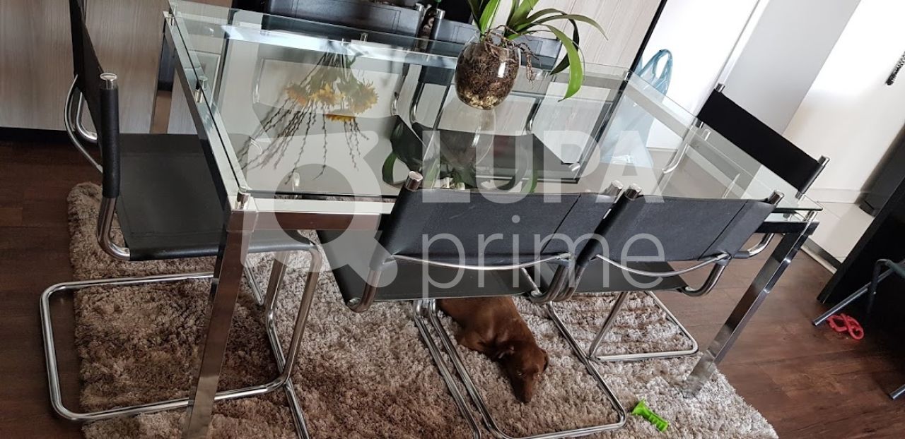 apartamento-venda-sao-paulo-vila-gustavo-2dormitorios-1suite-1vaga-62m2-LS31696