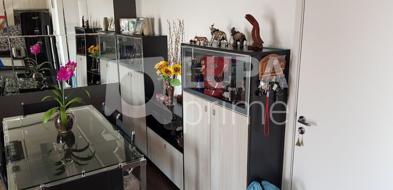 apartamento-venda-sao-paulo-vila-gustavo-2dormitorios-1suite-1vaga-62m2-LS31696