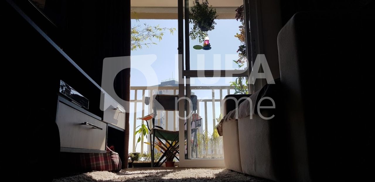 apartamento-venda-sao-paulo-vila-gustavo-2dormitorios-1suite-1vaga-62m2-LS31696