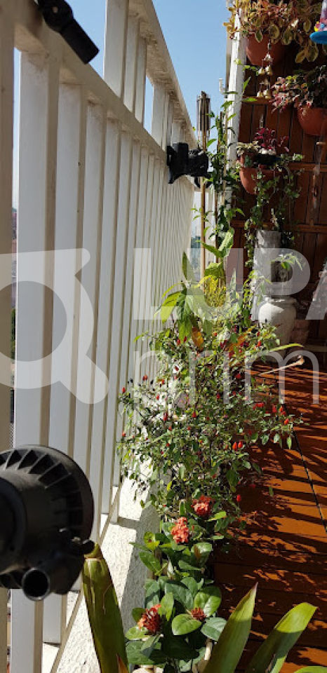 apartamento-venda-sao-paulo-vila-gustavo-2dormitorios-1suite-1vaga-62m2-LS31696