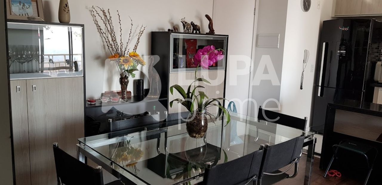 apartamento-venda-sao-paulo-vila-gustavo-2dormitorios-1suite-1vaga-62m2-LS31696