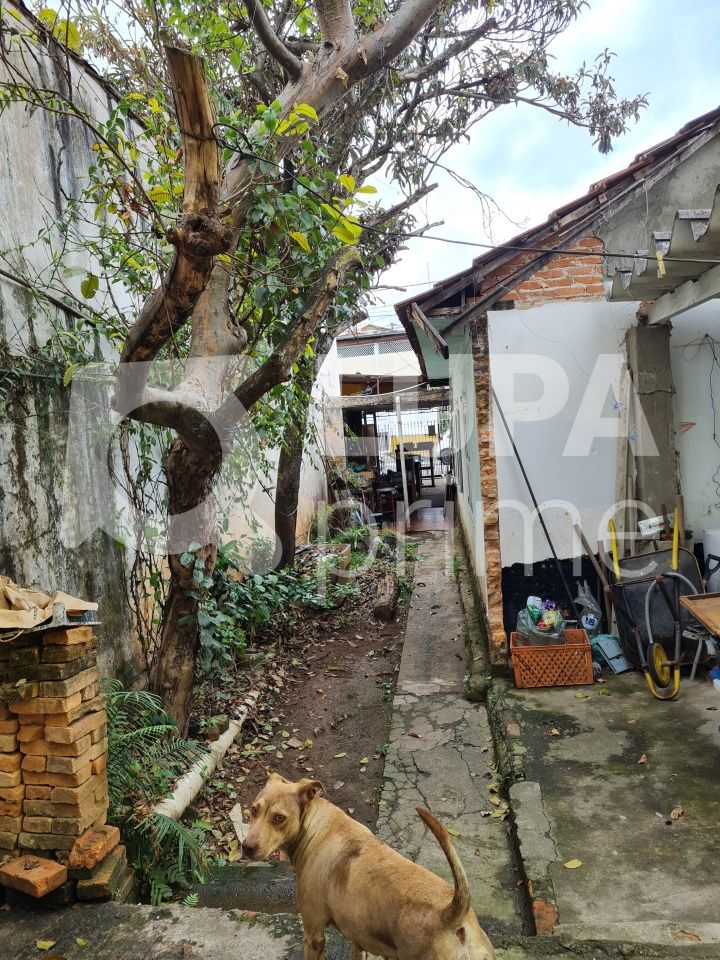 casa-terrea-venda-sao-paulo-vila-romero-3dormitorios-1suite-2vagas-200m2-LS31731