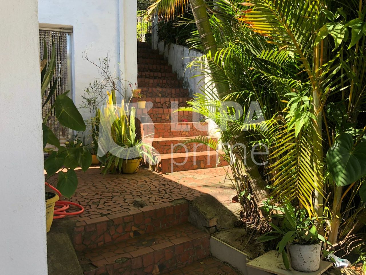 sobrado-venda-sao-paulo-vila-isolina-mazzei-3dormitorios-4vagas-170m2-LS31757