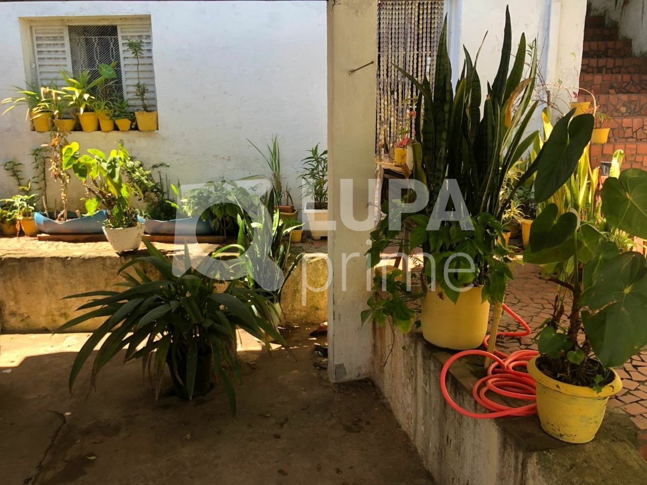 sobrado-venda-sao-paulo-vila-isolina-mazzei-3dormitorios-4vagas-170m2-LS31757