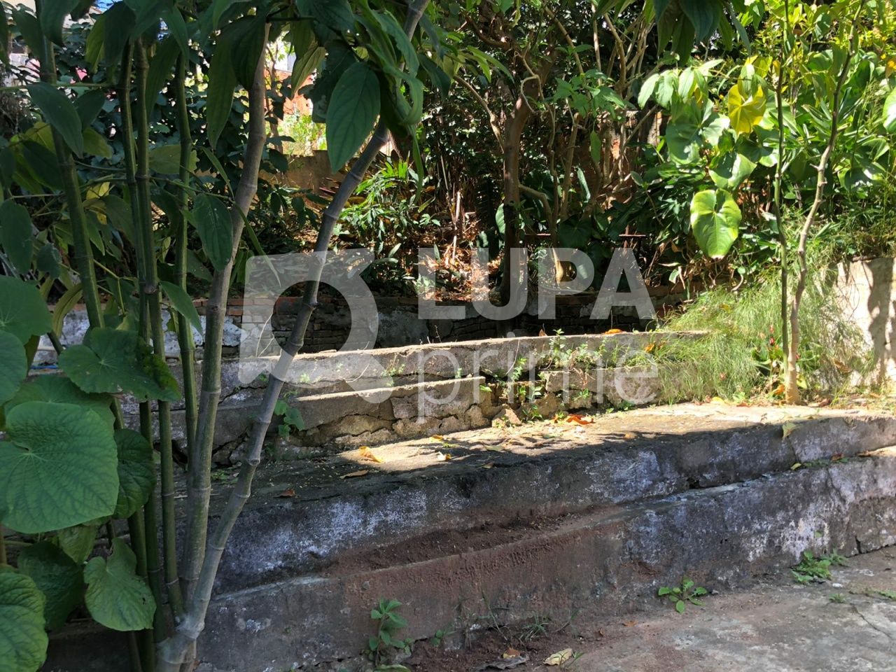 sobrado-venda-sao-paulo-vila-isolina-mazzei-3dormitorios-4vagas-170m2-LS31757