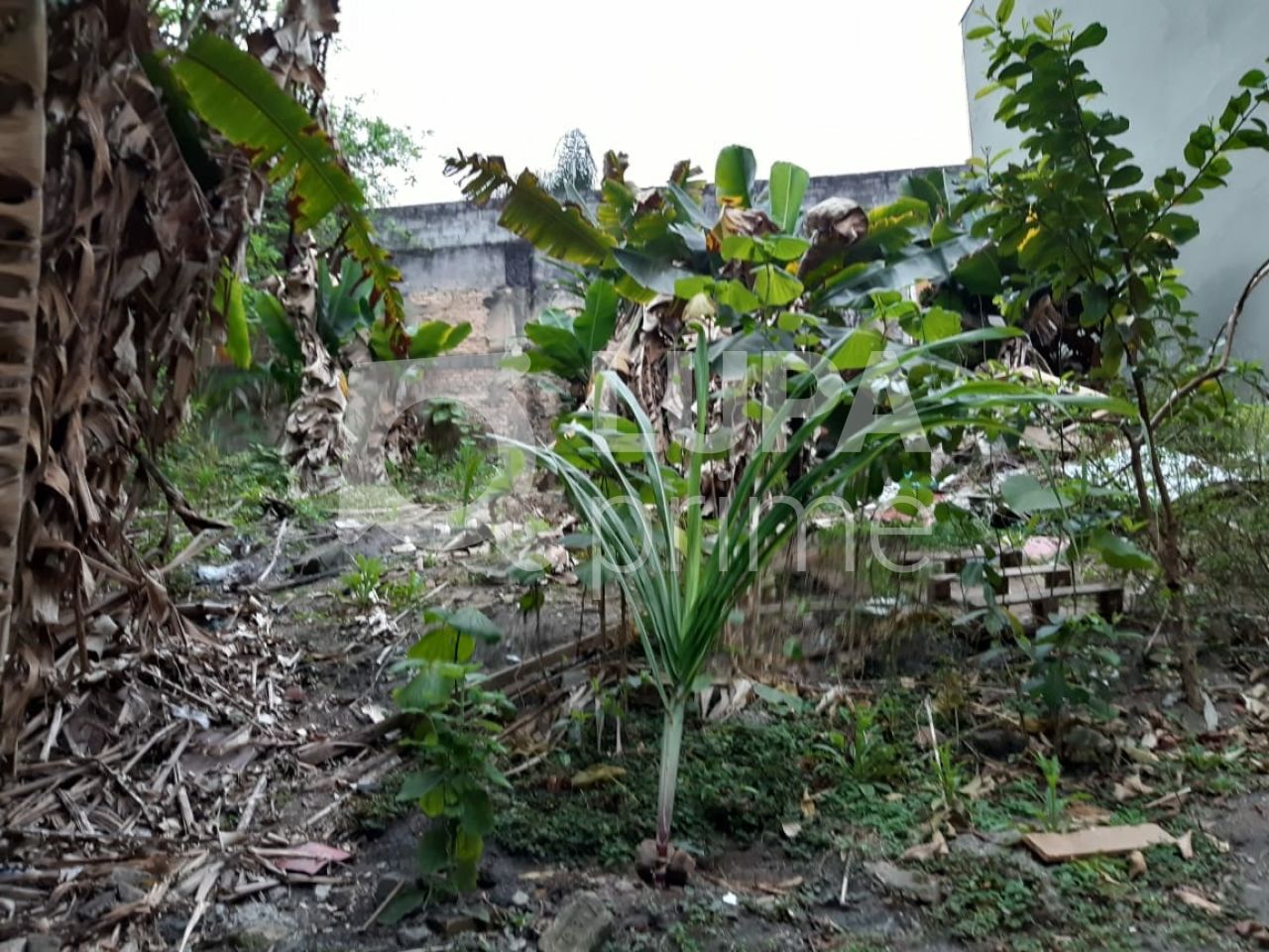 terreno-venda-sao-paulo-vila-guilherme-1380m2-LS31759