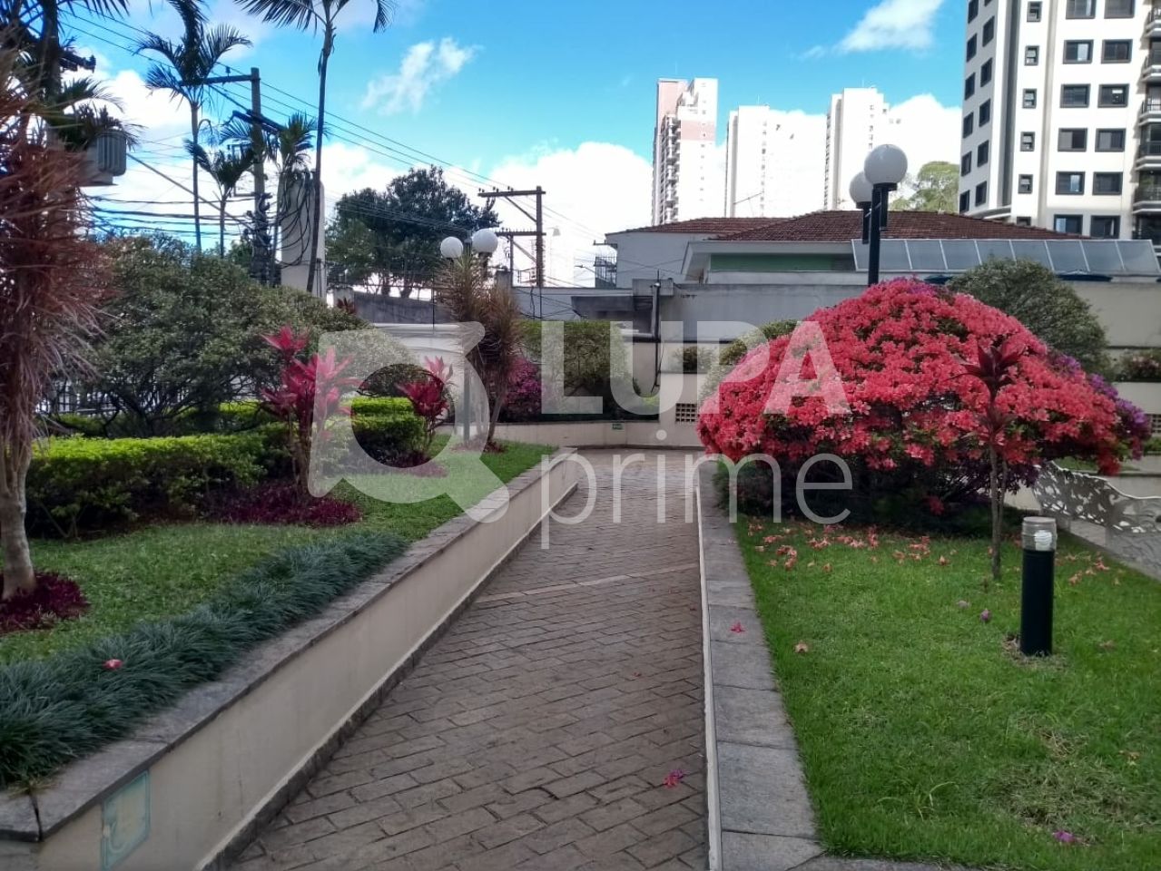 apartamento-venda-sao-paulo-chora-menino-3dormitorios-1vaga-70m2-LS31785