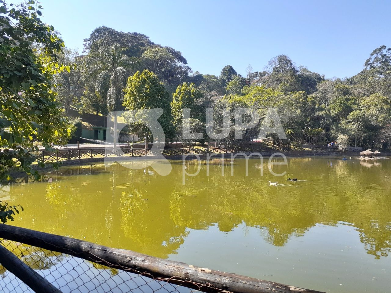 Terreno, 1045 m² - Foto 2