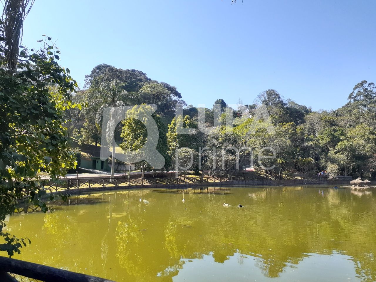 Terreno, 1045 m² - Foto 3