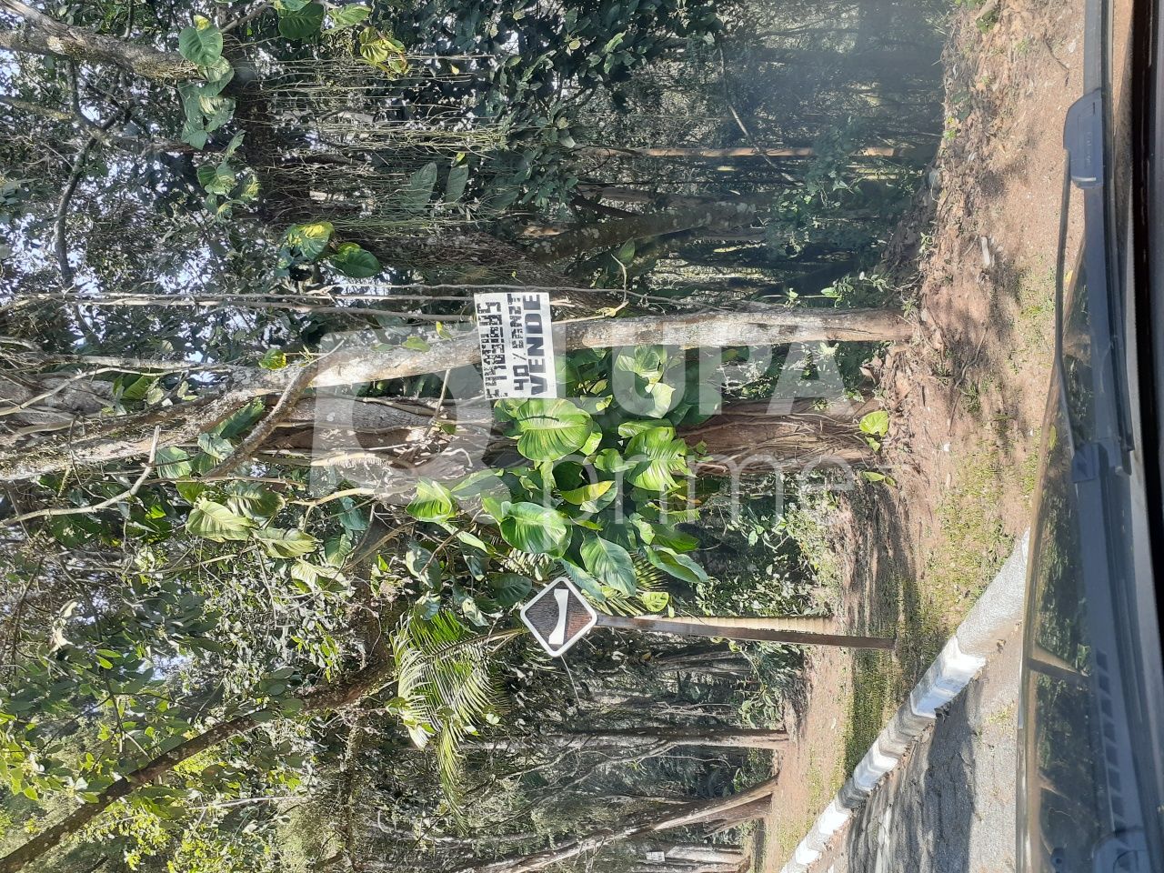 Terreno, 1045 m² - Foto 5