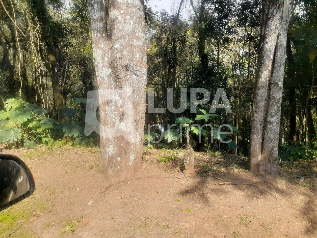 Terreno, 1045 m² - Foto 9