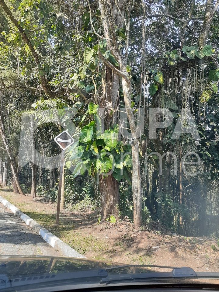 Terreno, 1045 m² - Foto 12