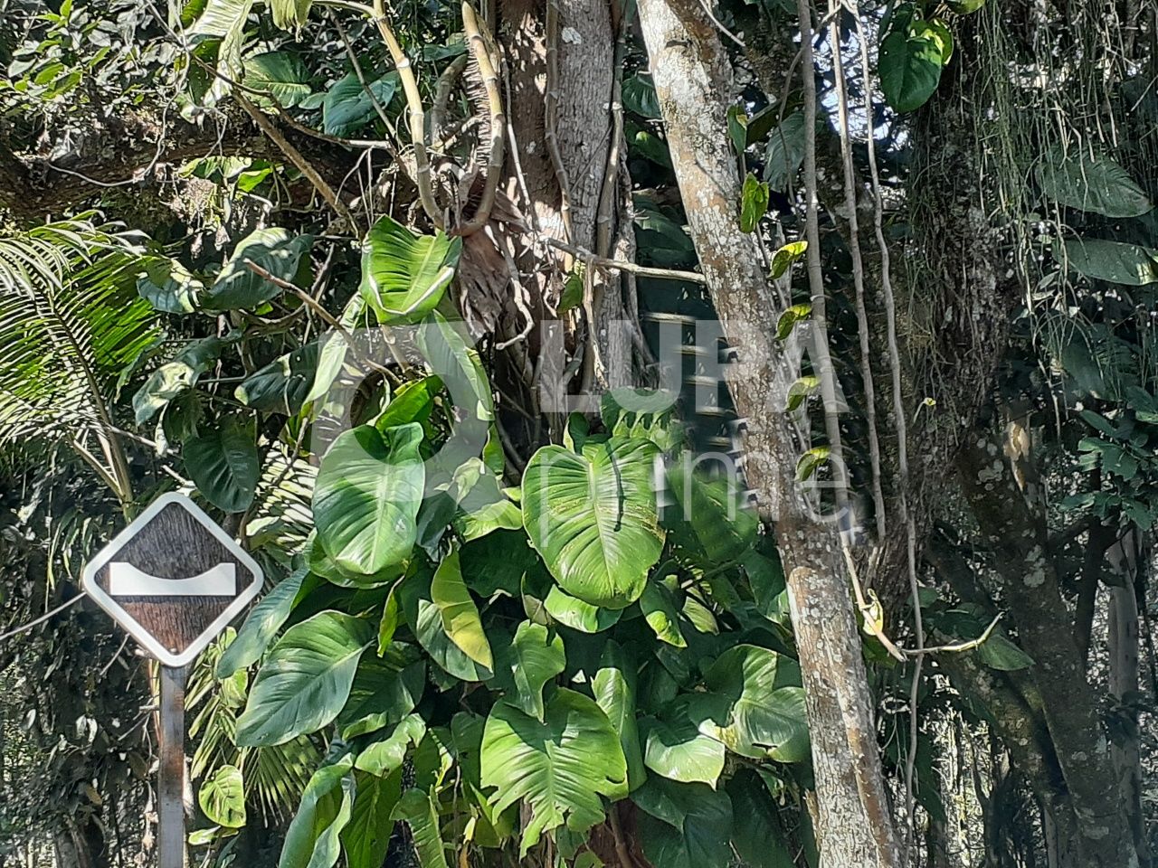 Terreno, 1045 m² - Foto 13