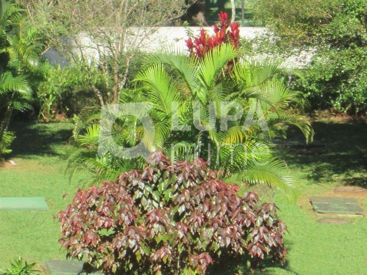 apartamento-venda-sao-paulo-jardim-umuarama-3dormitorios-2vagas-75m2-LS31823