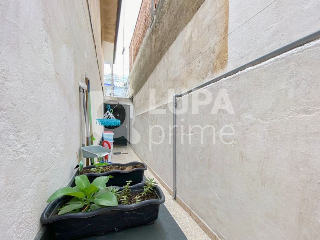 sobrado-venda-sao-paulo-parque-edu-chaves-2dormitorios-2vagas-122m2-LS31836