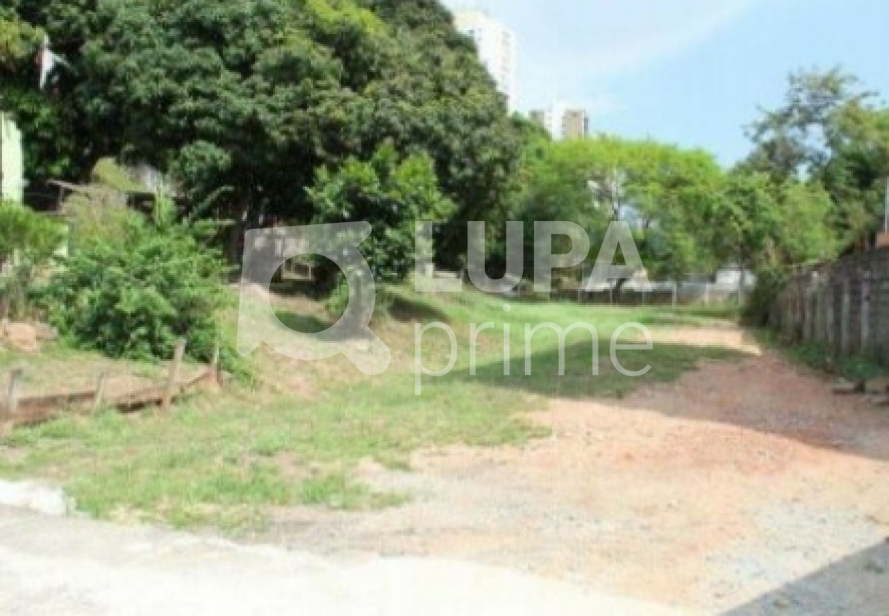 terreno-venda-sao-paulo-mandaqui-3531m2-LS31852