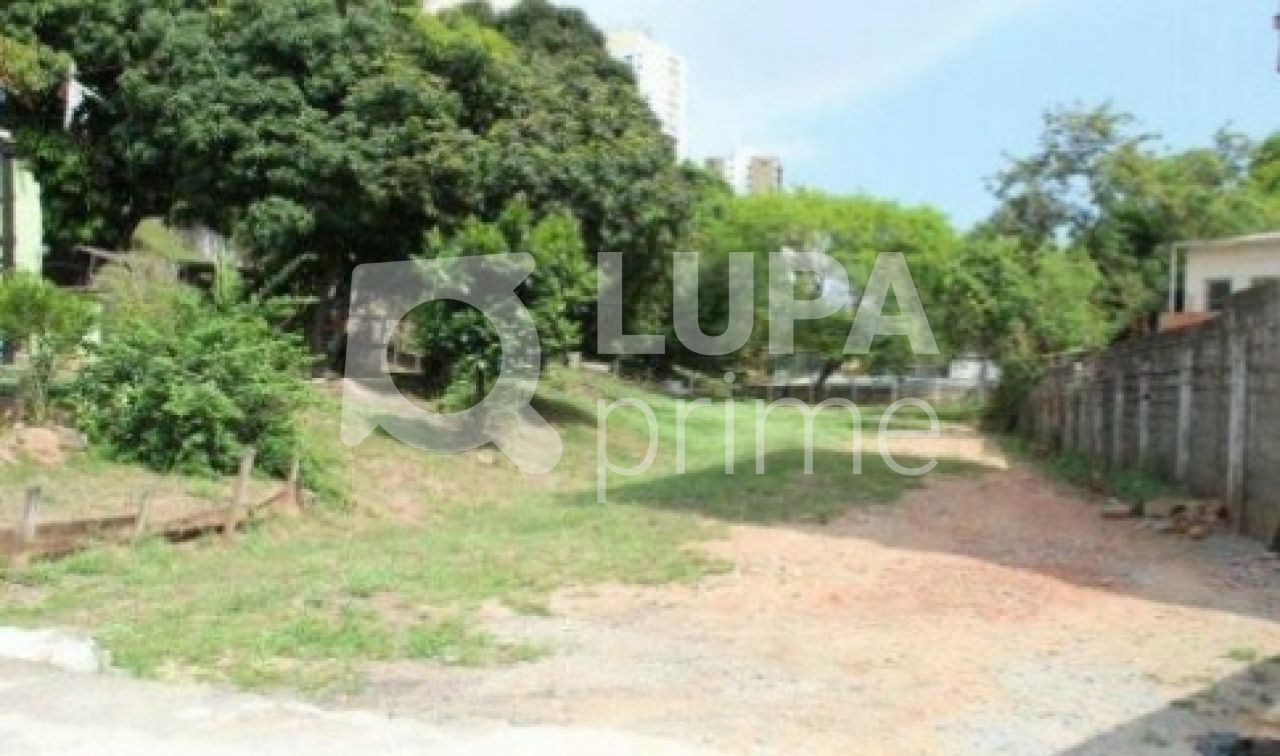 terreno-venda-sao-paulo-mandaqui-3531m2-LS31852