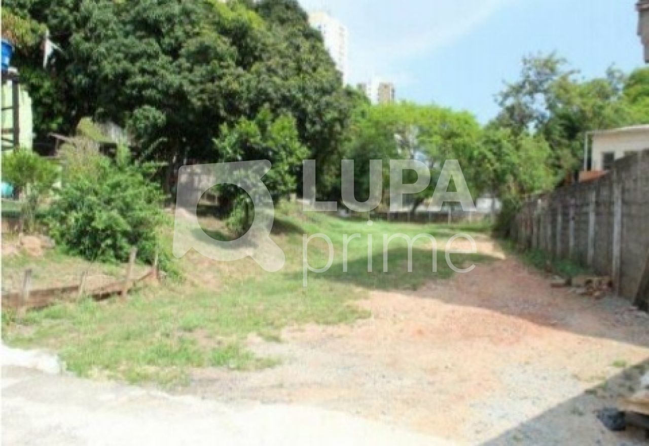 terreno-venda-sao-paulo-mandaqui-3531m2-LS31852
