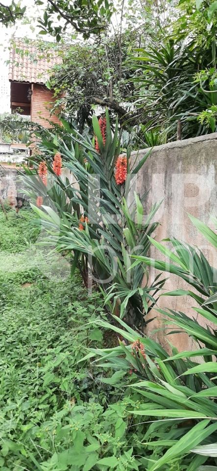 casa-terrea-venda-sao-paulo-vila-ester-zona-norte-2dormitorios-100m2-LS31873