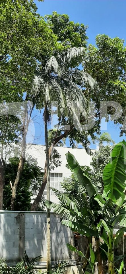 casa-terrea-venda-sao-paulo-vila-ester-zona-norte-2dormitorios-100m2-LS31873