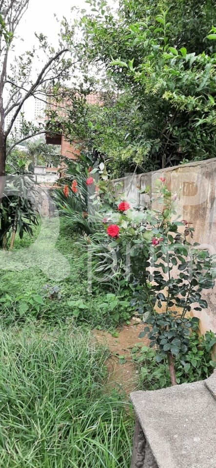 casa-terrea-venda-sao-paulo-vila-ester-zona-norte-2dormitorios-100m2-LS31873