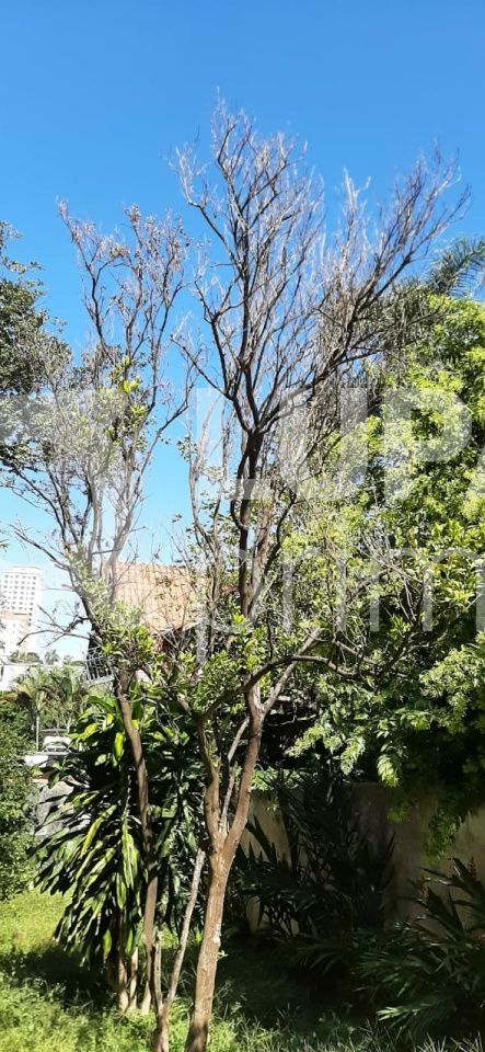 casa-terrea-venda-sao-paulo-vila-ester-zona-norte-2dormitorios-100m2-LS31873