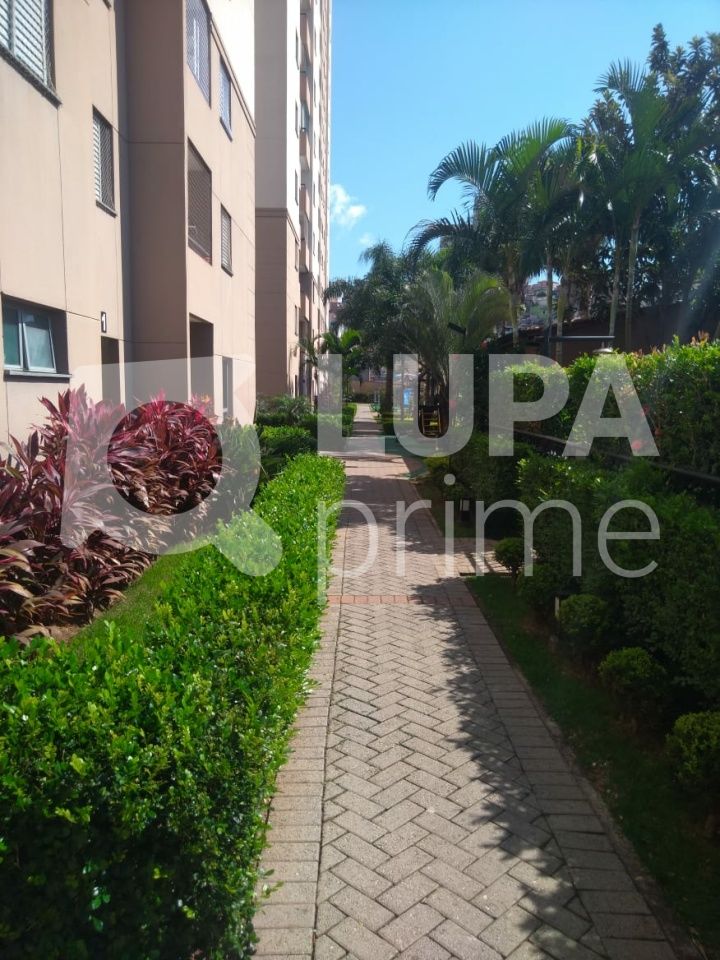 apartamento-venda-sao-paulo-vila-roque-2dormitorios-1vaga-49m2-LS31922