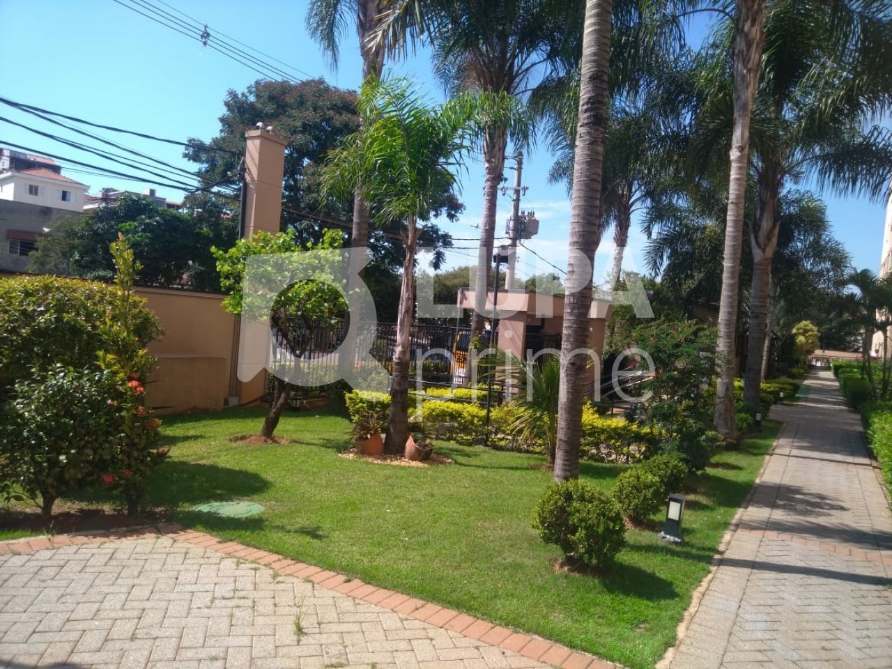 apartamento-venda-sao-paulo-vila-roque-2dormitorios-1vaga-49m2-LS31922