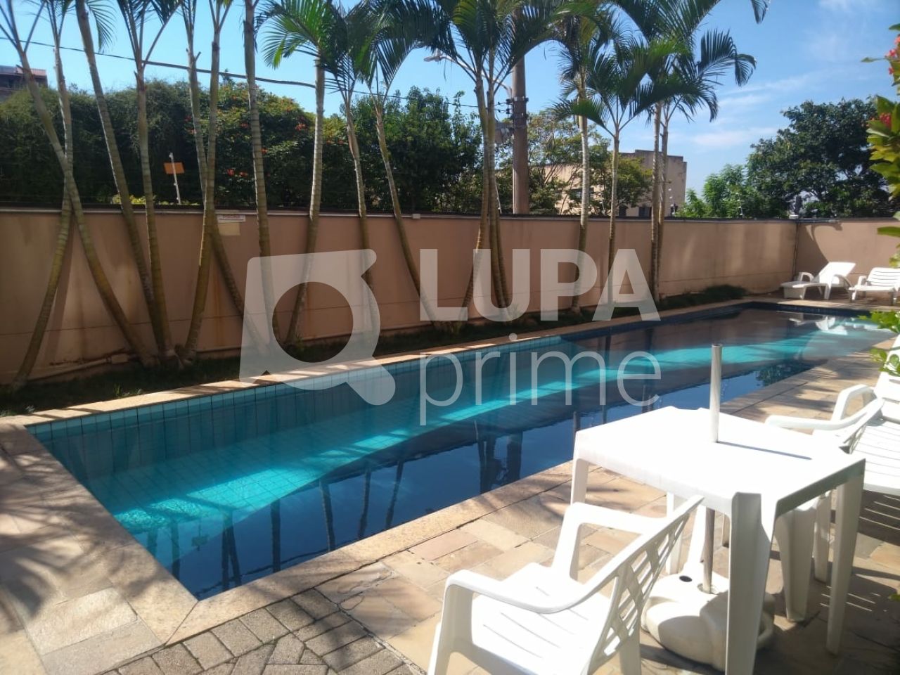 apartamento-venda-sao-paulo-vila-roque-2dormitorios-1vaga-49m2-LS31922