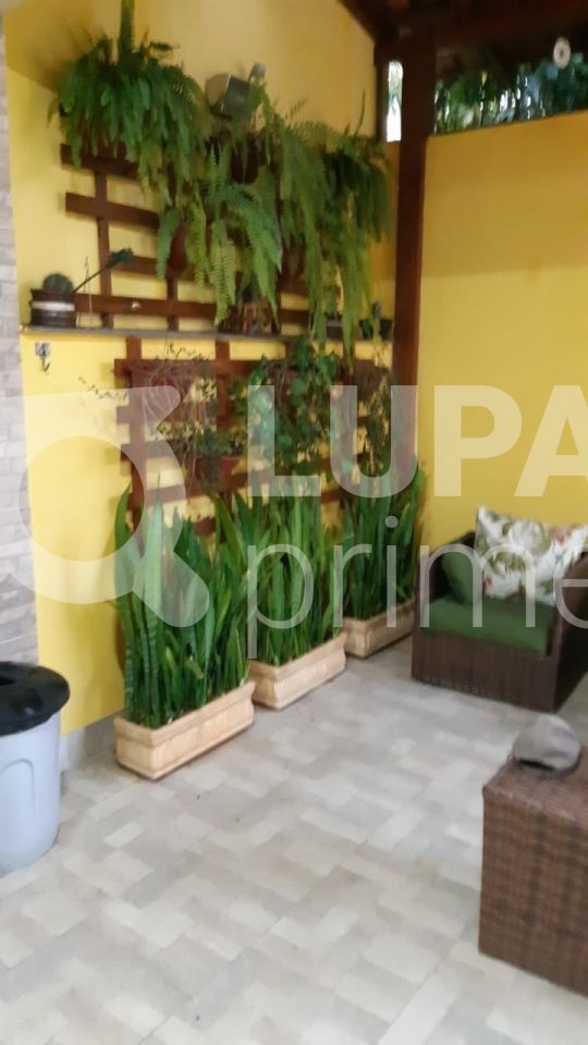 sobrado-venda-sao-paulo-jardim-guapira-4dormitorios-1suite-4vagas-278m2-LS31966