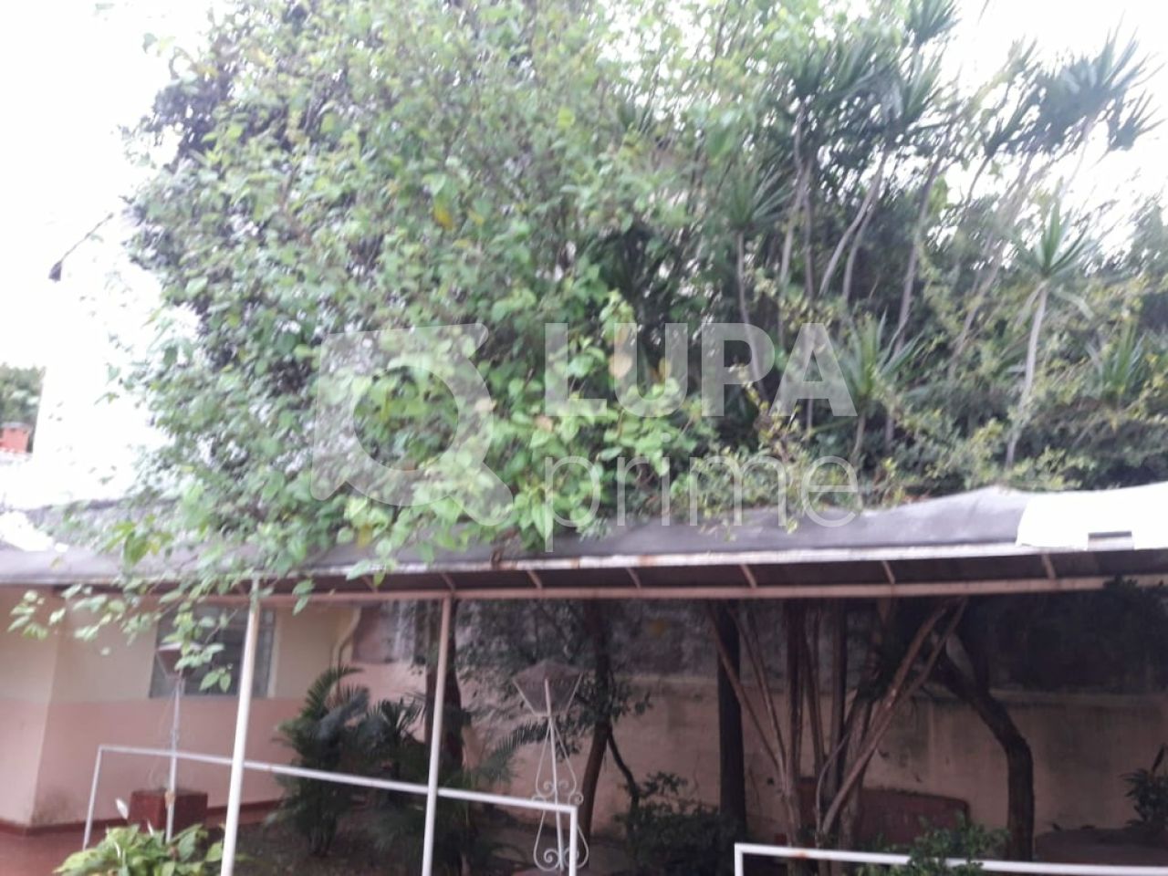 sobrado-venda-sao-paulo-parada-inglesa-8dormitorios-3suites-3vagas-350m2-LS32205