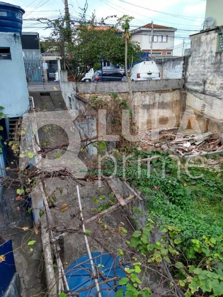 Terreno à venda, 250m² - Foto 10