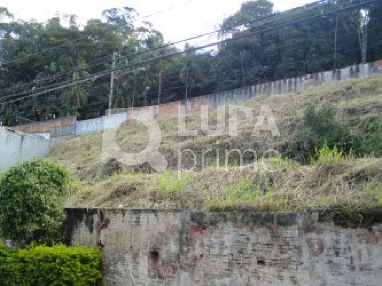 terreno-venda-sao-paulo-vila-rosa-1750m2-LS32234