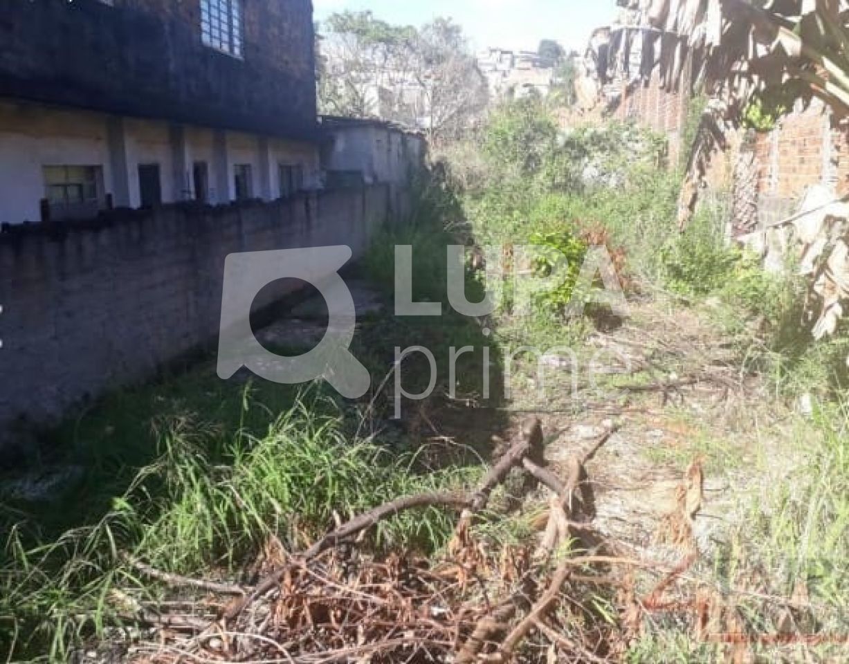 terreno-venda-sao-paulo-vila-nova-parada-296m2-LS32236