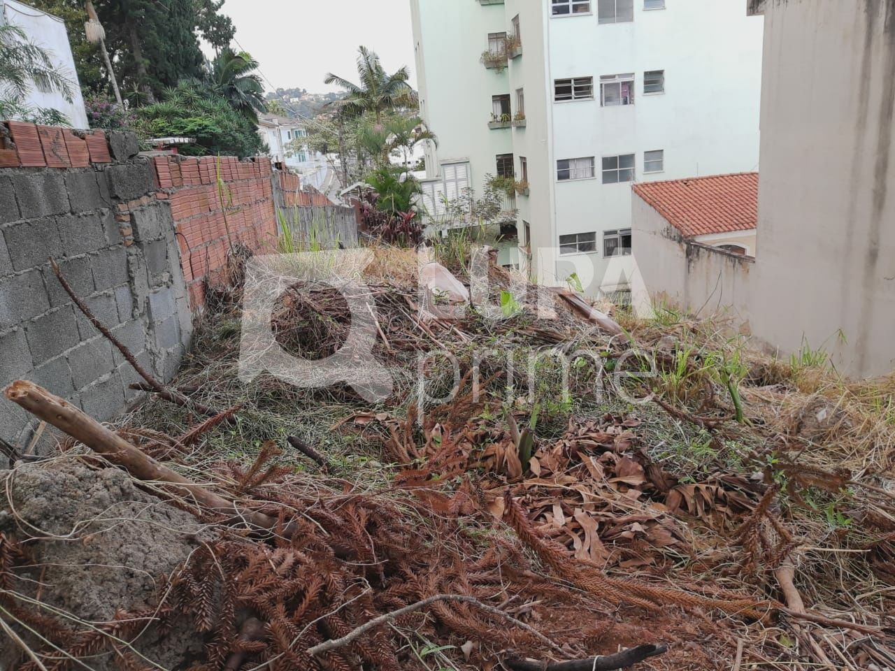 terreno-venda-sao-paulo-vila-albertina-259m2-LS32238