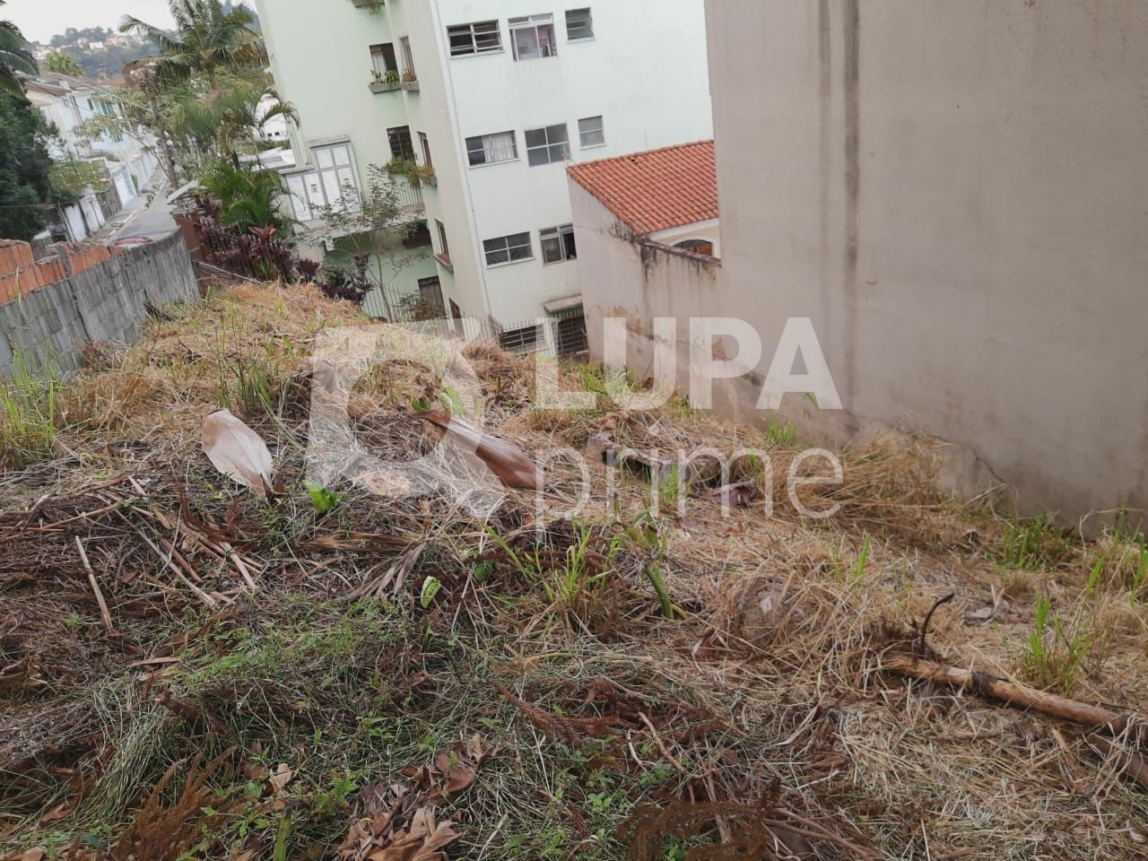 terreno-venda-sao-paulo-vila-albertina-259m2-LS32238